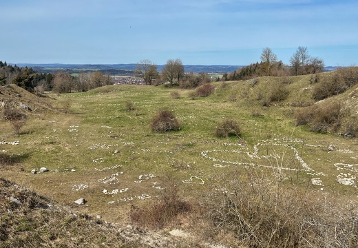 25-03-21 12-20-18 2482